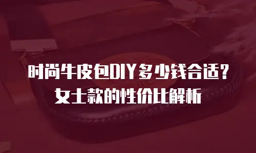 时尚牛皮包DIY多少钱合适？女士款的性价比解析