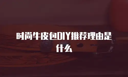 时尚牛皮包DIY推荐理由是什么