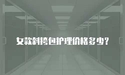 女款斜挎包护理价格多少？