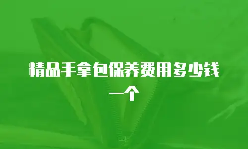 精品手拿包保养费用多少钱一个