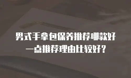 男式手拿包保养推荐哪款好一点推荐理由比较好？