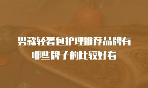 男款轻奢包护理推荐品牌有哪些牌子的比较好看