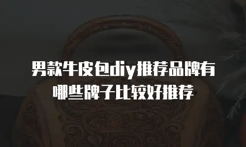 男款牛皮包diy推荐品牌有哪些牌子比较好推荐