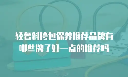 轻奢斜挎包保养推荐品牌有哪些牌子好一点的推荐吗