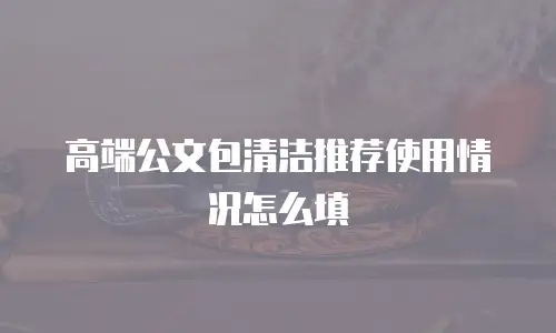 高端公文包清洁推荐使用情况怎么填