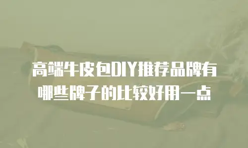 高端牛皮包DIY推荐品牌有哪些牌子的比较好用一点