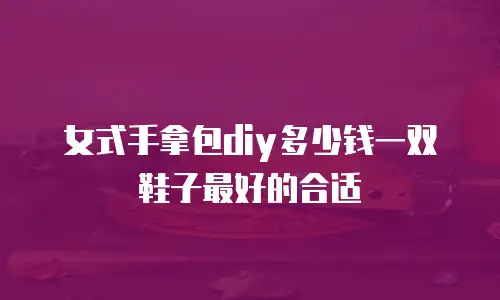 女式手拿包diy多少钱一双鞋子最好的合适