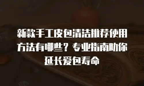 新款手工皮包清洁推荐使用方法有哪些？专业指南助你延长爱包寿命