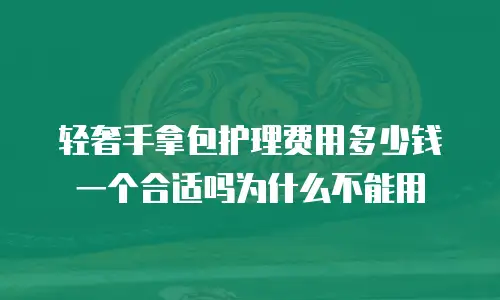 轻奢手拿包护理费用多少钱一个合适吗为什么不能用