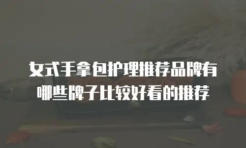 女式手拿包护理推荐品牌有哪些牌子比较好看的推荐