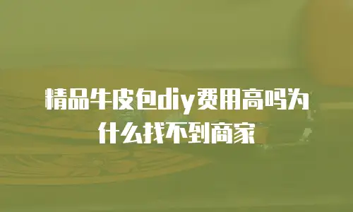精品牛皮包diy费用高吗为什么找不到商家