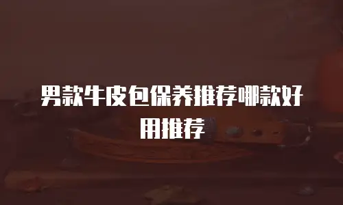 男款牛皮包保养推荐哪款好用推荐