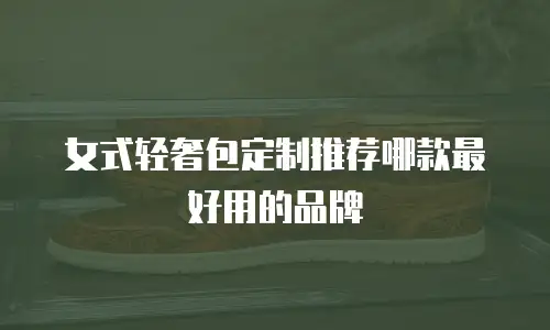 女式轻奢包定制推荐哪款最好用的品牌
