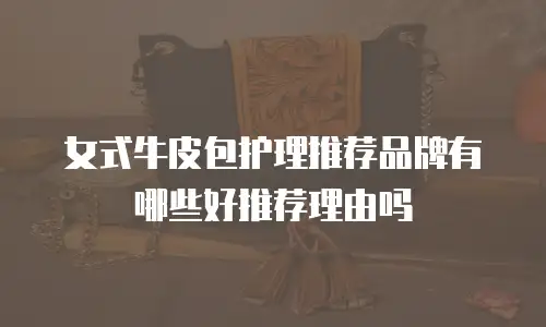女式牛皮包护理推荐品牌有哪些好推荐理由吗