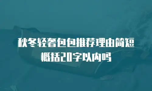 秋冬轻奢包包推荐理由简短概括20字以内吗