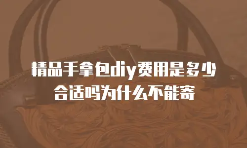 精品手拿包diy费用是多少合适吗为什么不能寄