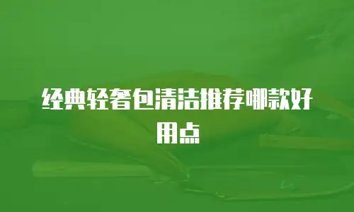 经典轻奢包清洁推荐哪款好用点