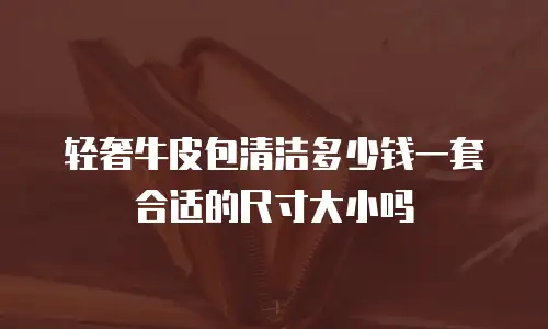 轻奢牛皮包清洁多少钱一套合适的尺寸大小吗