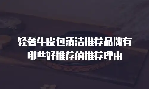 轻奢牛皮包清洁推荐品牌有哪些好推荐的推荐理由