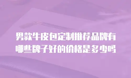 男款牛皮包定制推荐品牌有哪些牌子好的价格是多少吗