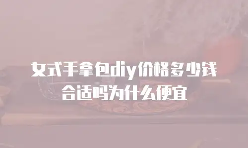 女式手拿包diy价格多少钱合适吗为什么便宜