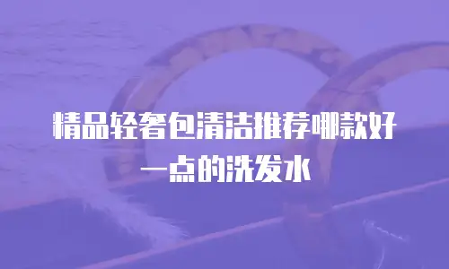 精品轻奢包清洁推荐哪款好一点的洗发水