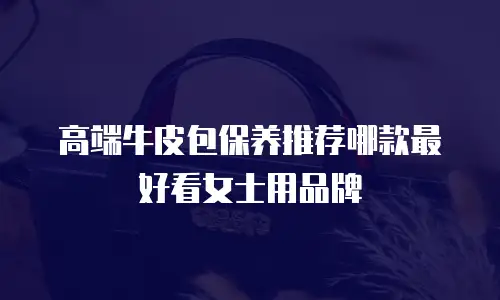 高端牛皮包保养推荐哪款最好看女士用品牌