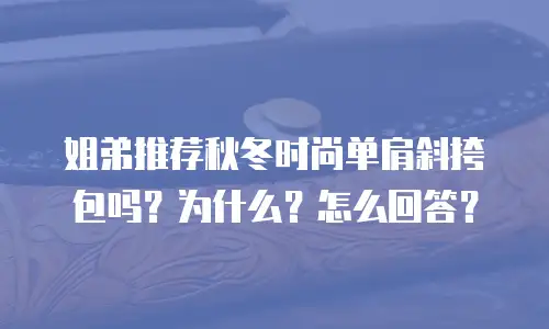 姐弟推荐秋冬时尚单肩斜挎包吗？为什么？怎么回答？