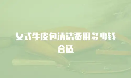 女式牛皮包清洁费用多少钱合适