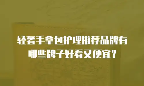 轻奢手拿包护理推荐品牌有哪些牌子好看又便宜？