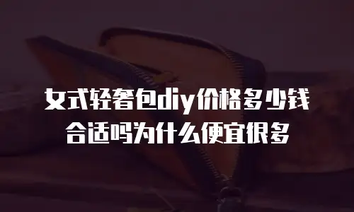 女式轻奢包diy价格多少钱合适吗为什么便宜很多