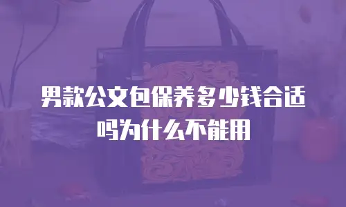 男款公文包保养多少钱合适吗为什么不能用
