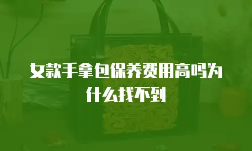 女款手拿包保养费用高吗为什么找不到