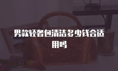 男款轻奢包清洁多少钱合适用吗