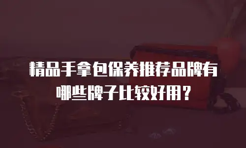 精品手拿包保养推荐品牌有哪些牌子比较好用？