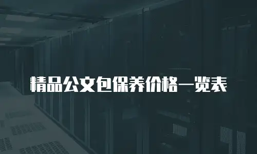 精品公文包保养价格一览表