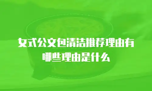 女式公文包清洁推荐理由有哪些理由是什么