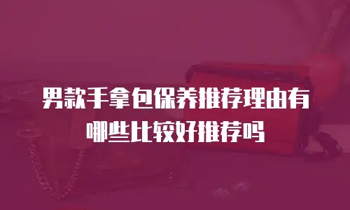 男款手拿包保养推荐理由有哪些比较好推荐吗
