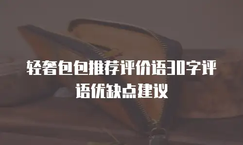 轻奢包包推荐评价语30字评语优缺点建议
