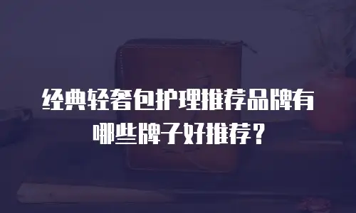 经典轻奢包护理推荐品牌有哪些牌子好推荐？