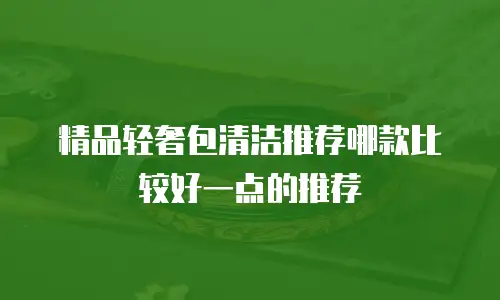 精品轻奢包清洁推荐哪款比较好一点的推荐