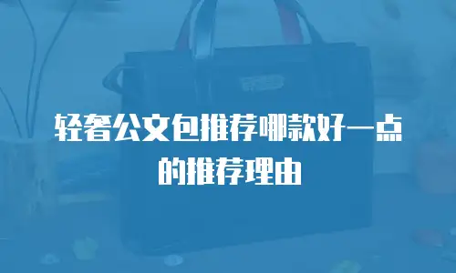 轻奢公文包推荐哪款好一点的推荐理由