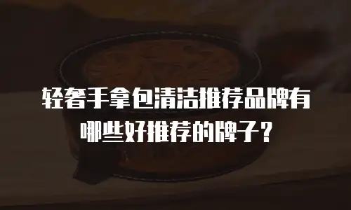 轻奢手拿包清洁推荐品牌有哪些好推荐的牌子？