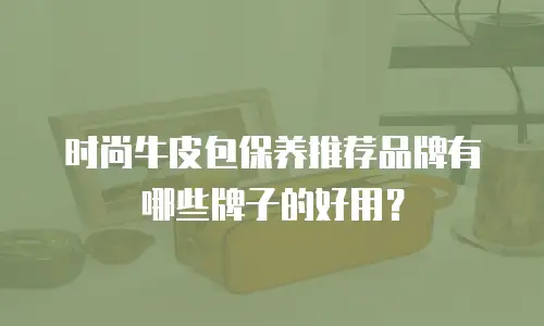时尚牛皮包保养推荐品牌有哪些牌子的好用？