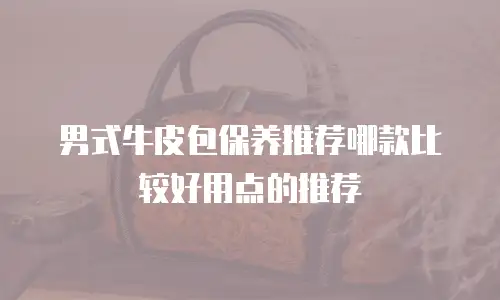 男式牛皮包保养推荐哪款比较好用点的推荐