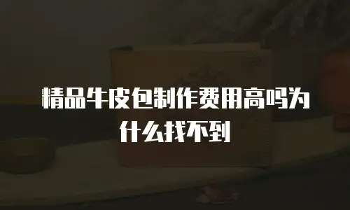 精品牛皮包制作费用高吗为什么找不到