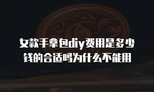 女款手拿包diy费用是多少钱的合适吗为什么不能用
