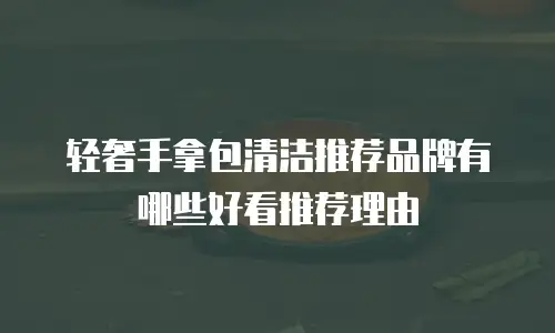 轻奢手拿包清洁推荐品牌有哪些好看推荐理由