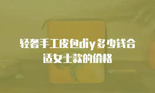 轻奢手工皮包diy多少钱合适女士款的价格