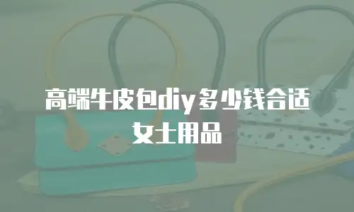 高端牛皮包diy多少钱合适女士用品